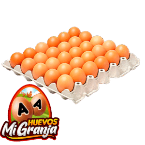 Huevos
